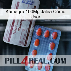 Kamagra 100Mg Jalea Cómo Usar 36